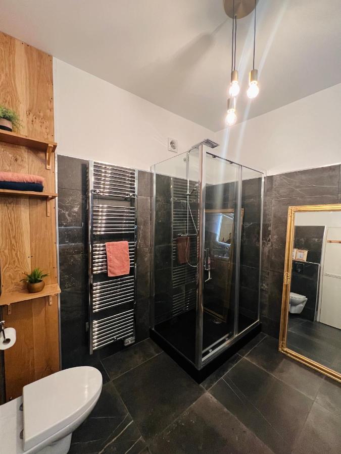 Charmant Appartement Plein Centre Ville - Parking Prive オセール エクステリア 写真